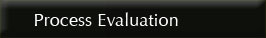 Process Evaluation